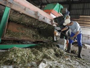 Read more about the article Pakar Ingatkan Bahaya Insinerator Sampah bagi Kesehatan