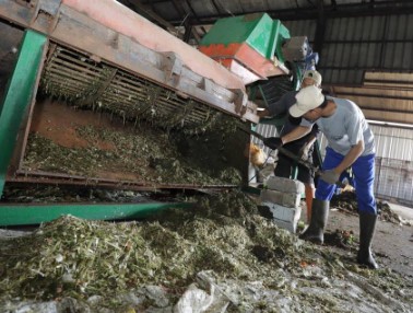 Read more about the article Pakar Ingatkan Bahaya Insinerator Sampah bagi Kesehatan